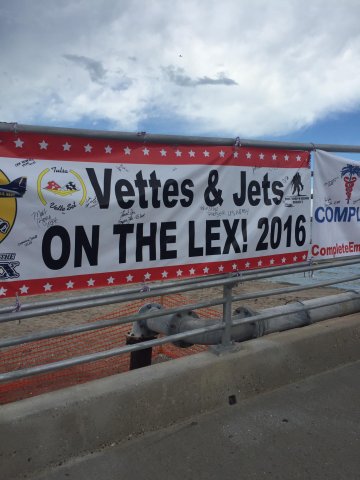 vetlex5